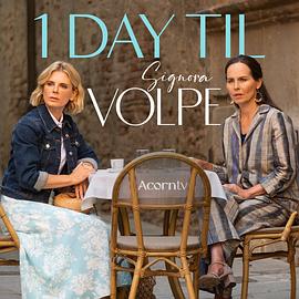 狐狸女士第二季第03集(大结局)