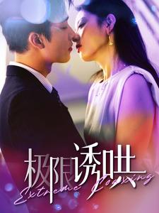 极限诱哄全集(大结局)