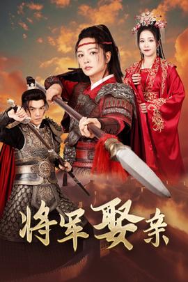 将军娶亲第30集