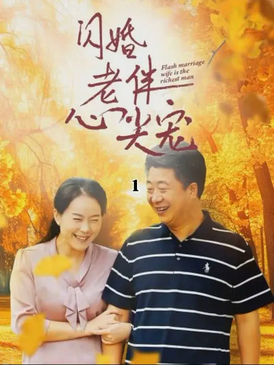 再回首闪婚之仍是心尖宠第03集