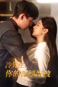 冷先生你的保镖好拽全集(大结局)