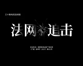 法网追击第1集